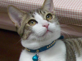 IMGP9014.jpg