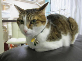 IMG03988.jpg