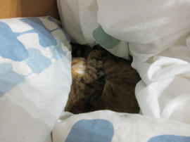 IMG03989.jpg