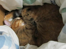 IMG03990.jpg