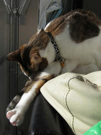 IMG00482.jpg
