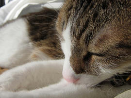 IMG00485.jpg