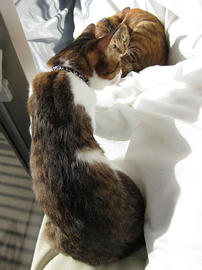 IMG00486.jpg
