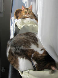 IMG03992.jpg