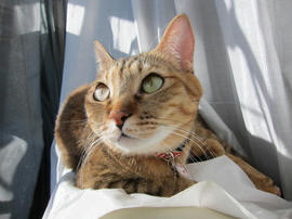 IMG03993.jpg