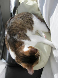 IMG03995.jpg