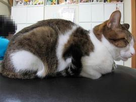 IMG03996.jpg