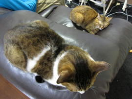 IMG03997.jpg
