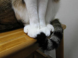 IMG00547.jpg