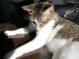 IMG00548.jpg