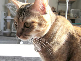 IMG00549.jpg