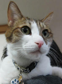 IMG04003.jpg