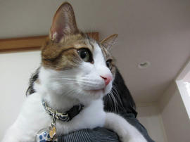 IMG04004.jpg