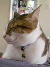 IMGP12740.jpg