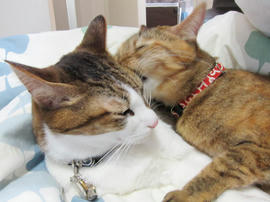 IMG04006.jpg