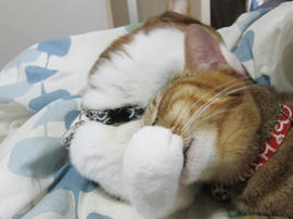 IMG04010.jpg