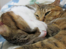 IMG04011.jpg