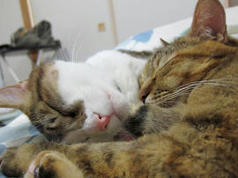 IMG04012.jpg