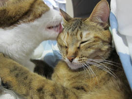 IMG04013.jpg