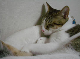 IMGP9108.jpg