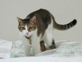 IMG00560.jpg