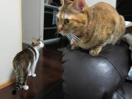IMG04025.jpg