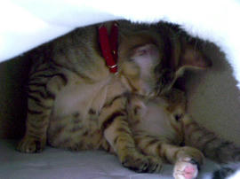 IMGP9118.jpg