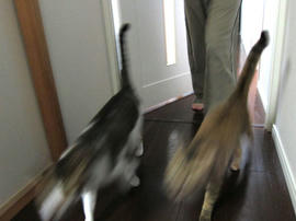 IMG04029.jpg