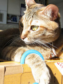 IMG00582.jpg