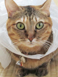 IMG04033.jpg
