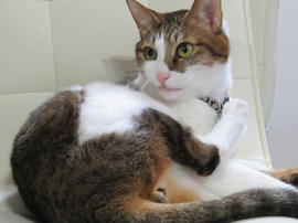 IMG04035.jpg