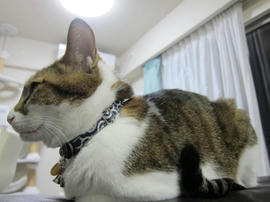 IMG04037.jpg