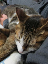 IMG04047.jpg
