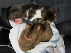 IMG04048.jpg