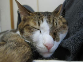 IMG04049.jpg