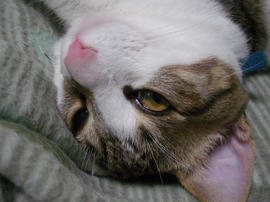 IMGP9349.jpg