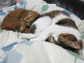 IMG04055.jpg