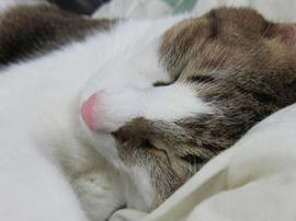 IMG04056.jpg
