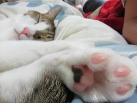 IMG04057.jpg