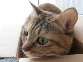 IMG04065.jpg