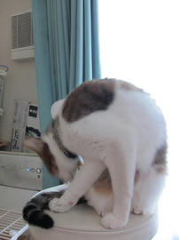 IMG04067.jpg