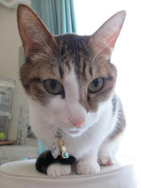 IMG04070.jpg