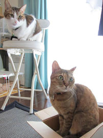 IMG04072.jpg