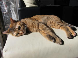 IMG04074.jpg