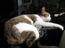 IMG04076b.jpg