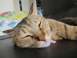 IMG04080.jpg