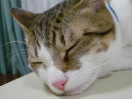 IMGP9499.jpg