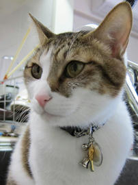 IMG00616.jpg