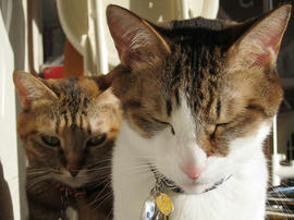 IMG04090.jpg