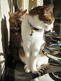 IMG04091.jpg